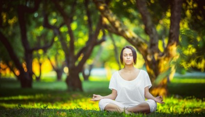 开云下载-潘帕斯雄鹰撕裂铁幕防线，阿根廷3-0完胜斯洛伐克，B组出线形势明朗