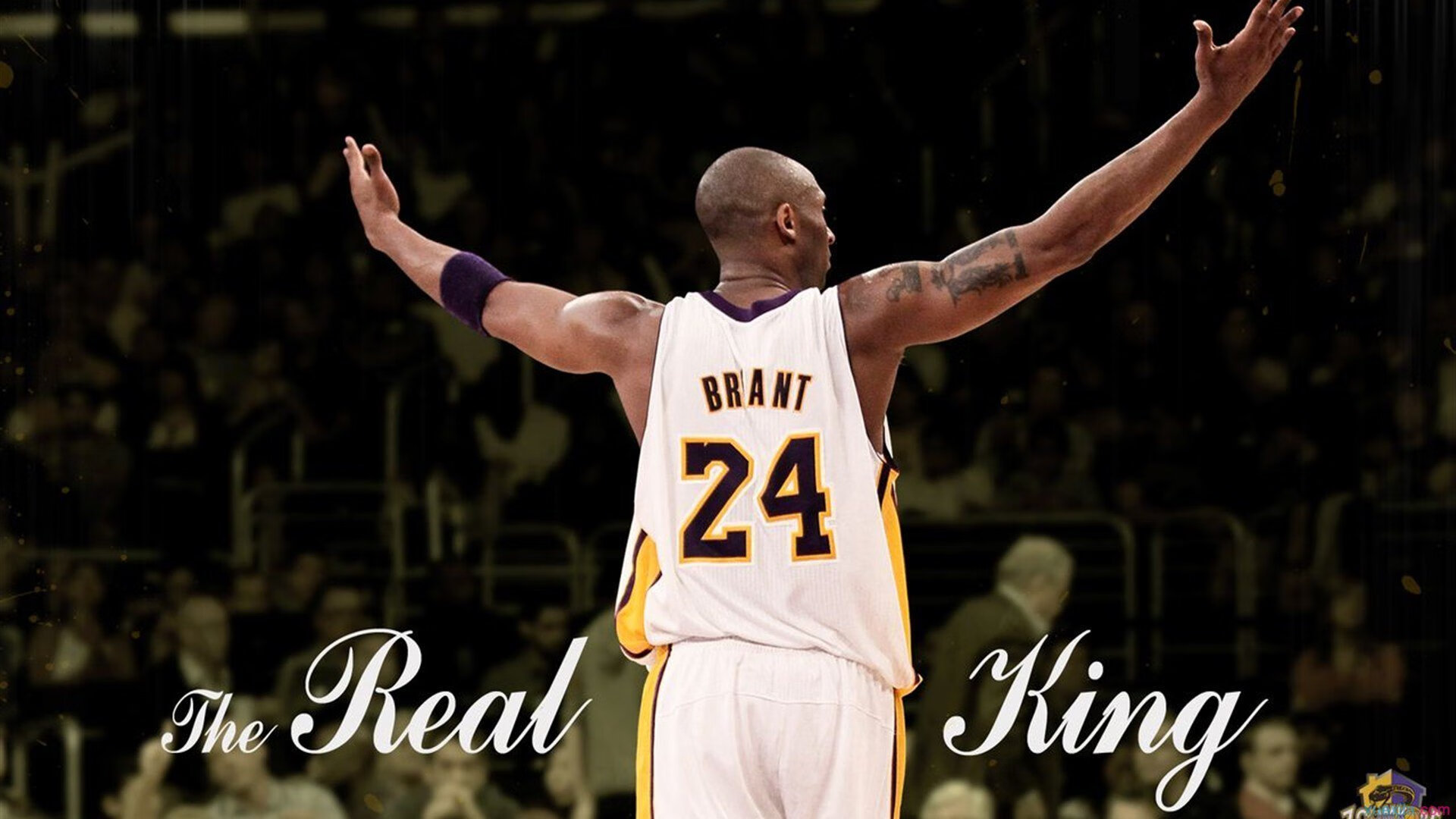 福克斯撕裂黄蜂防线,当速度成为统治力,篮球进入秒时代